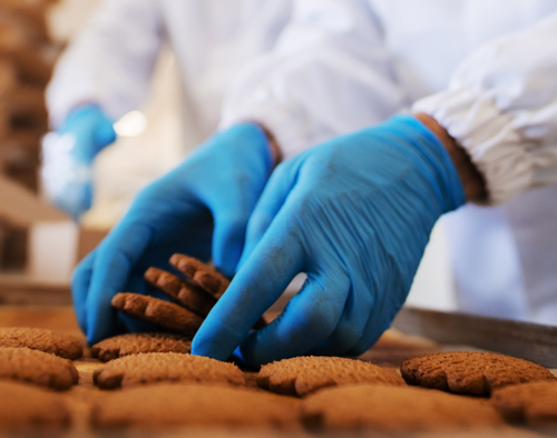 Guanti antibatterici Globact per l'industria alimentare