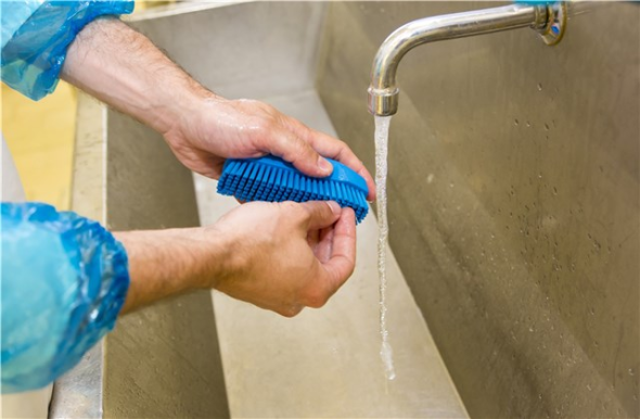 Operatore che utilizza spazzola blu per igiene delle mani sotto acqua corrente in ambiente alimentare