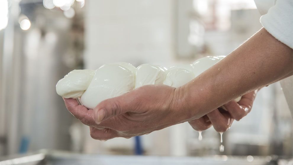 Operatore alimentare che manipola una treccia di mozzarella con mani pulite in ambiente di produzione